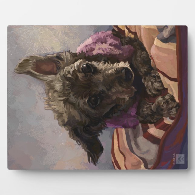 Plaque Photo Maîtriser le caniche (Devant)