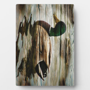Plaque Photo Mallard Duck