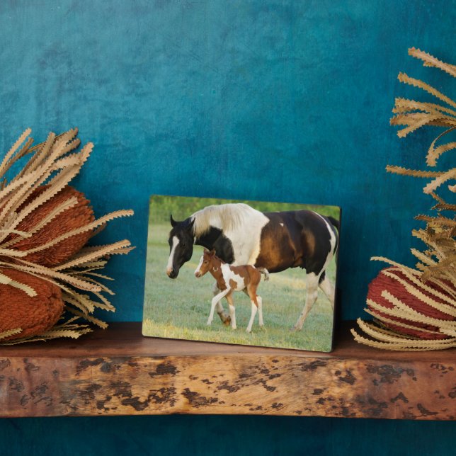 Plaque Photo Maman & Nouveau-né Paint Filly (Côté)