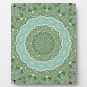 Plaque Photo Mandala succulent