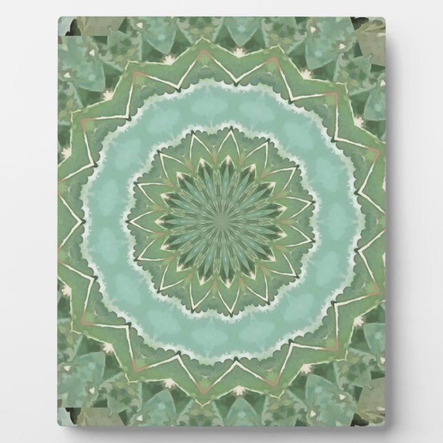 Plaque Photo Mandala Succulent (Devant)