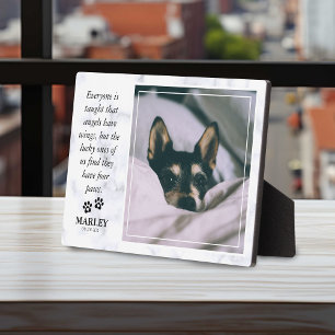 Plaque Photo Marble Pet Perdre Pet Pet Memorial Photo