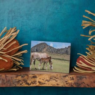 Plaque Photo Mare & Colt au cratère volcanique de Rano Raraku