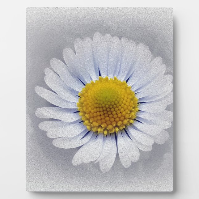 Plaque Photo marguerite blanche brillante (Devant)