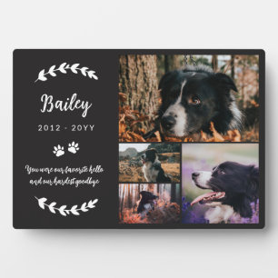 Plaque Photo Matte Black Paws & Greenery 4 Photos Pet Memorial