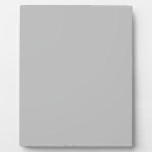 Plaque Photo Matte Silver