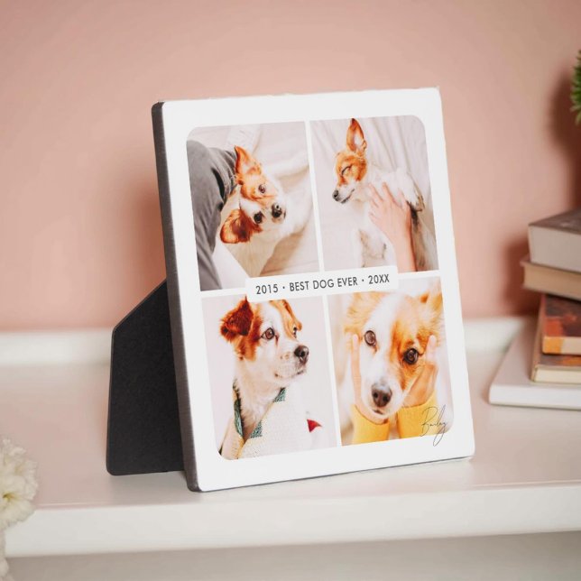 Plaque Photo Meilleur chien Collage photo moderne Mémorial anim (Créateur téléchargé)