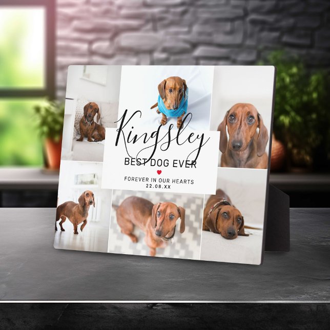 Plaque Photo Meilleur chien de tous les temps | Collage de phot (Créateur téléchargé)