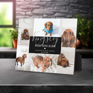 Plaque Photo Meilleur chien de tous les temps   Collage photo P