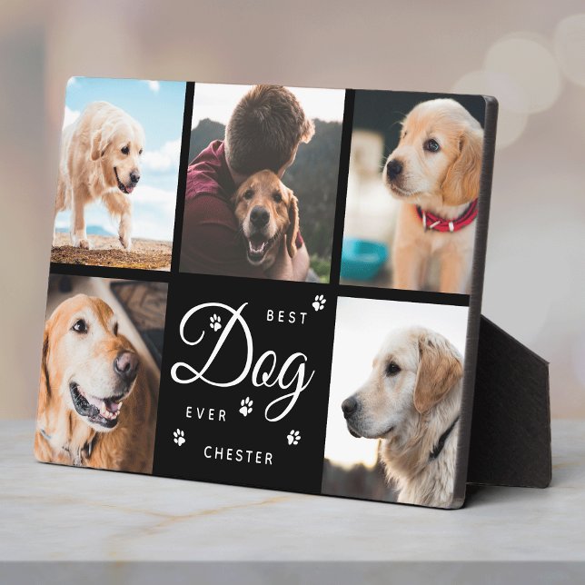 Plaque Photo Meilleur Chien De Tous Les Temps Mémorial Pattes M (Créateur téléchargé)