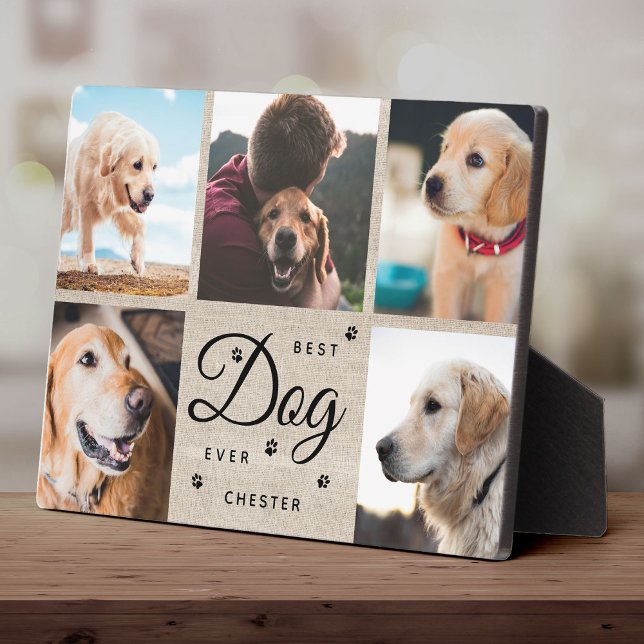 Plaque Photo Meilleur chien du monde Mémorial Moderne Collage d (Créateur téléchargé)