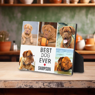 Plaque Photo Meilleur chien moderne jamais collage photo Anim