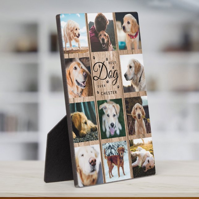 Plaque Photo Meilleure ferme de chien jamais maison rustique Co (Créateur téléchargé)