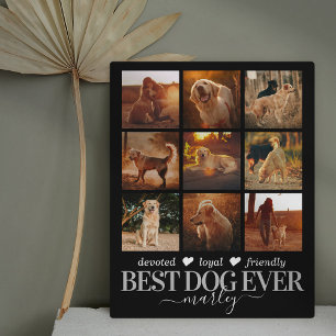 Plaque Photo Meilleure photo de chien - Mémorial pour animal de