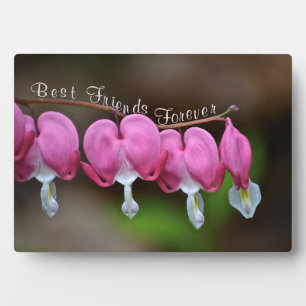 Plaque Photo Meilleurs amis pour toujours