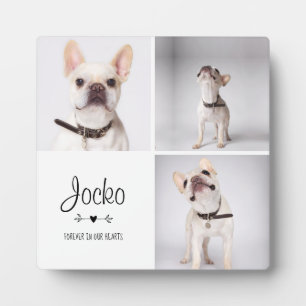 Plaque Photo Mémoire de chien Collage photo souvenir perte d'an