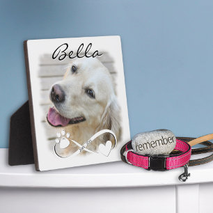 Plaque Photo Mémoire de chien Photo Patte Cœur Infini Souvenir