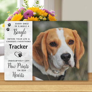 Plaque Photo Mémoire personnalisée de Beagle avec photo