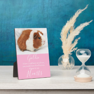 Plaque Photo Mémorial à l'animal