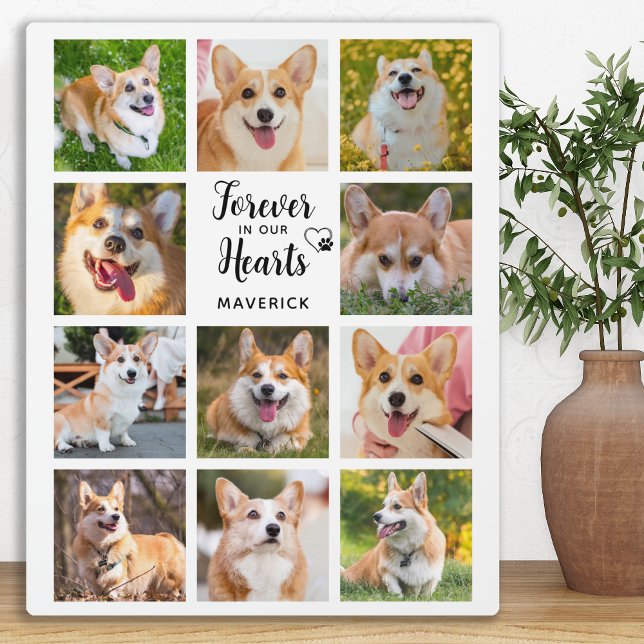 Plaque Photo Mémorial aux chiens pour toujours dans nos coeurs  (Créateur téléchargé)