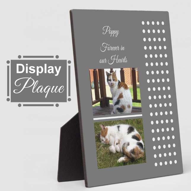 Plaque Photo Mémorial de chat gris et blanc ajouter des photos (Créateur téléchargé)