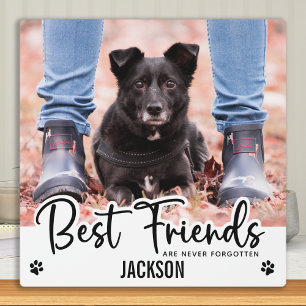 Plaque Photo Mémorial des animaux de compagnie jamais oubliés