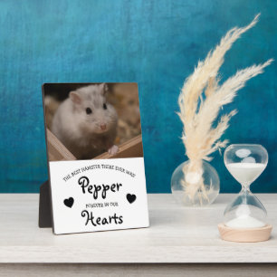 Plaque Photo Mémorial des animaux de compagnie pour les enfants