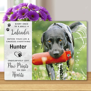 Plaque Photo Mémorial du Labrador Retriever
