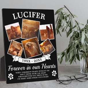 Plaque Photo Mémorial pour animaux