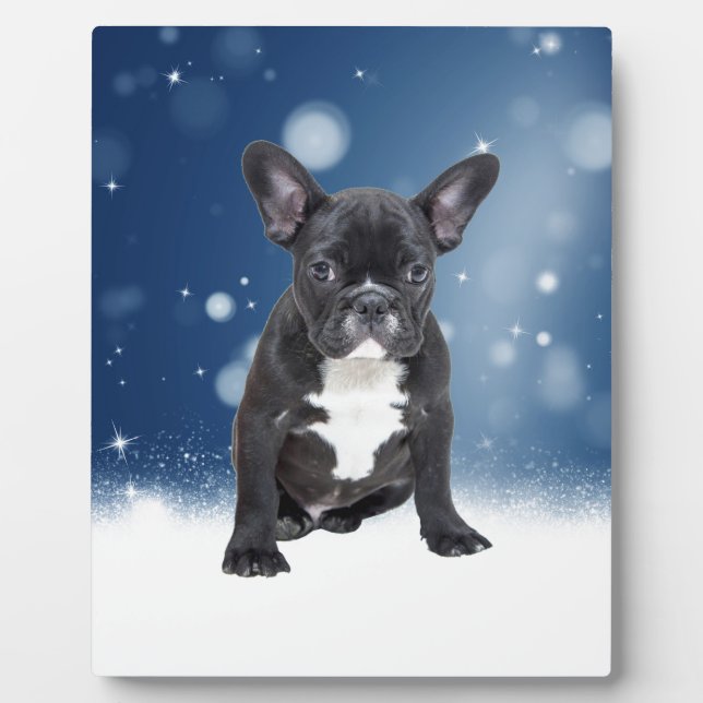 Plaque Photo Mignonne French Bulldog Etoiles de neige Bleu Noël (Devant)