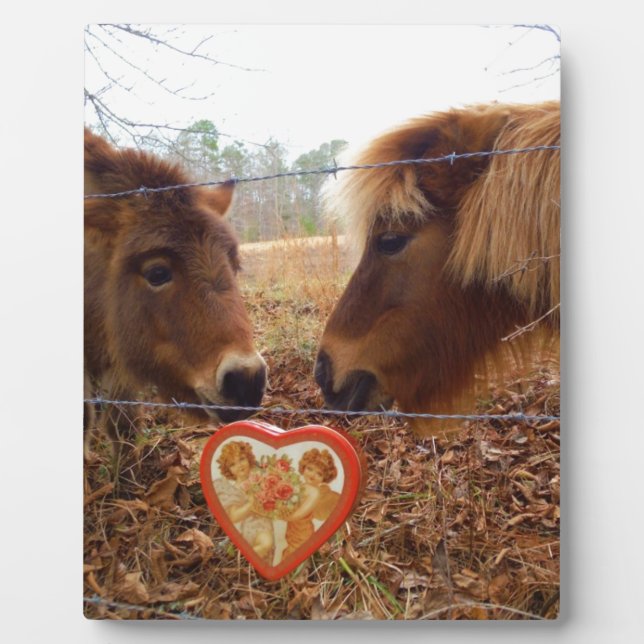 Plaque Photo Mini âne et cheval de la Saint-Valentin en forme d (Devant)