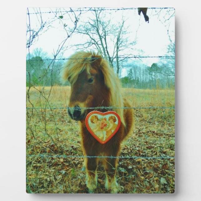 Plaque Photo Miniature cheval Brown Valentine Heart (Devant)