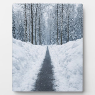 Plaque Photo Misty Winter Forest Path Winter Landscape Poster