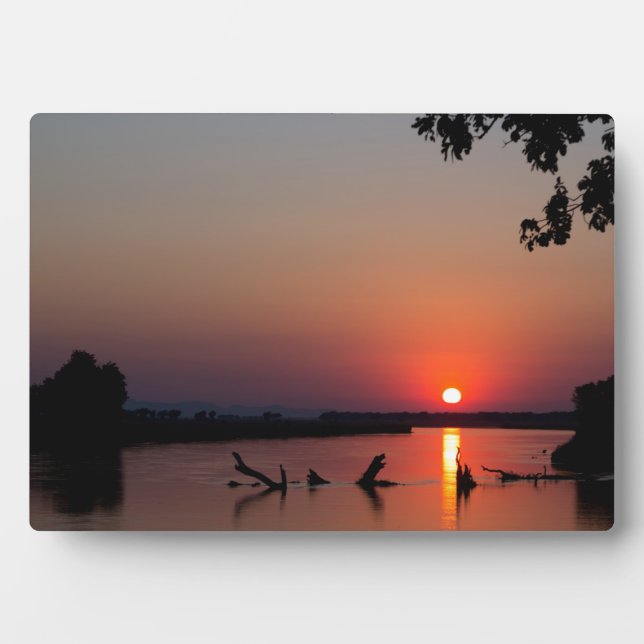 PLAQUE PHOTO MK3_3887 (Devant)