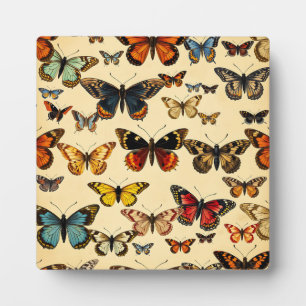 Plaque Photo Modèle de collection de papillons vintage