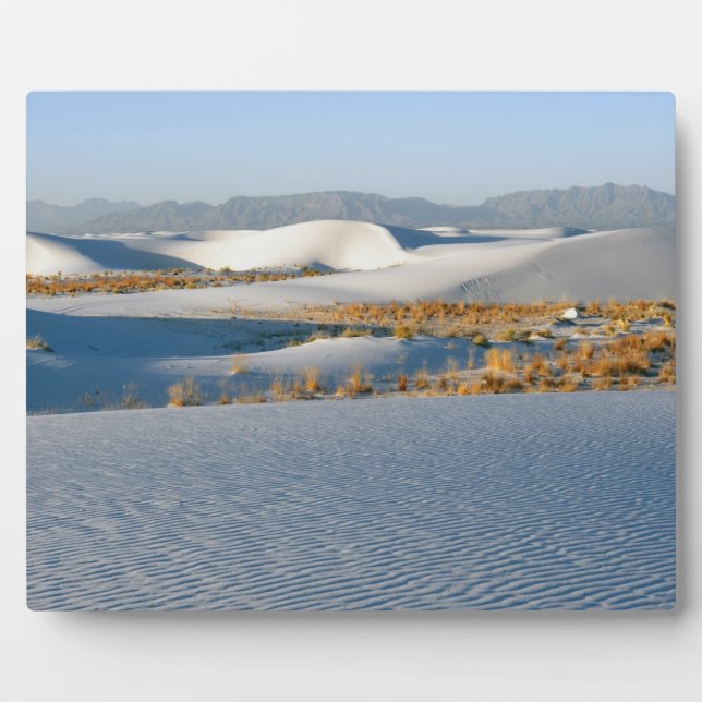 Plaque Photo Monument national de White Sands, Dunes transversa (Devant)