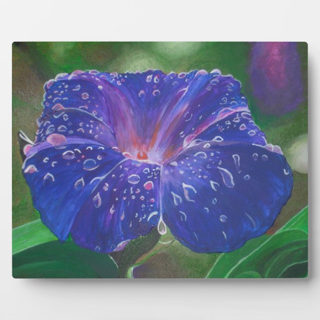 Plaque Photo Morning Glory (Ipomoea Purpurea) Petals et Dew Dr. (Devant)