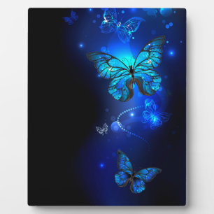 Plaque Photo Morpho Butterfly in the Dark Background