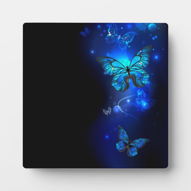 Plaque Photo Morpho Butterfly in the Dark Background (Devant)