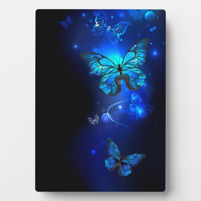 Plaque Photo Morpho Butterfly in the Dark Background (Devant)