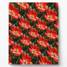 Motif des Tulipes rouges