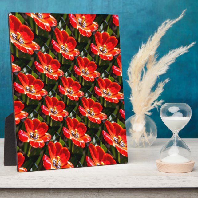 Plaque Photo Motif des Tulipes rouges (Côté)
