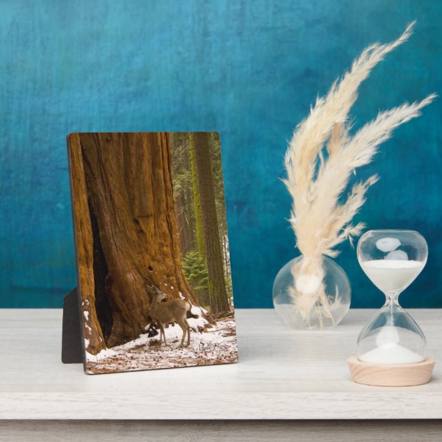 Plaque Photo Mule Deer (Côté)