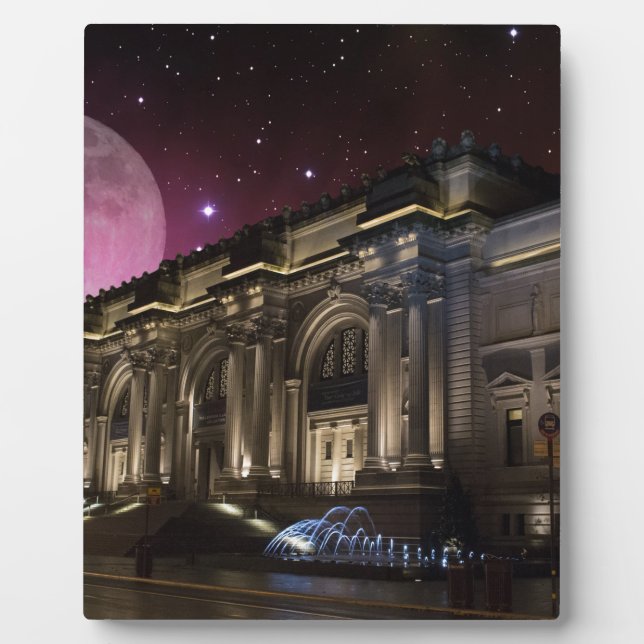 Plaque Photo Musée métropolitain Spacey (Devant)