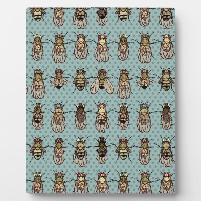 Plaque Photo mutants de Drosophila (Devant)