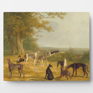 Plaque Photo Neuf Greyhounds dans un paysage (huile sur toile)