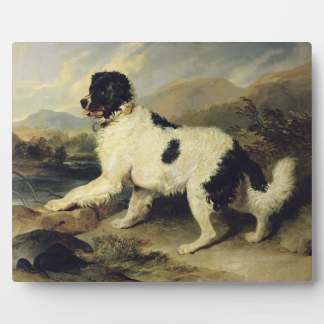 Plaque Photo Newfoundland Dog Called Lion, 1824 (oil on canvas) (Devant)