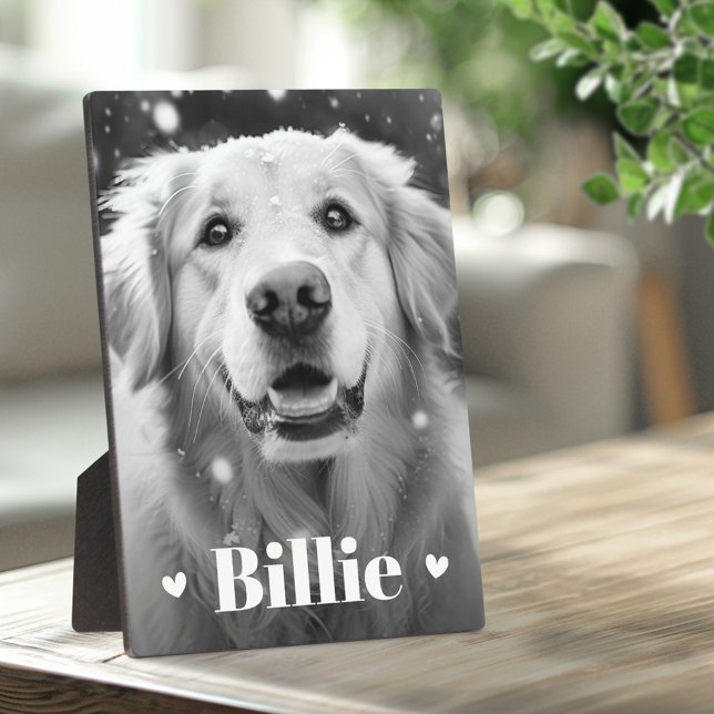 Plaque Photo Nom du chat chien de compagnie coeurs (Pet dog cat name hearts plaque)