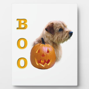 Plaque Photo Norfolk Terrier Halloween Boo