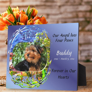 Plaque Photo Notre Ange a Quatre Pattes Vue sur le Sentier Scén